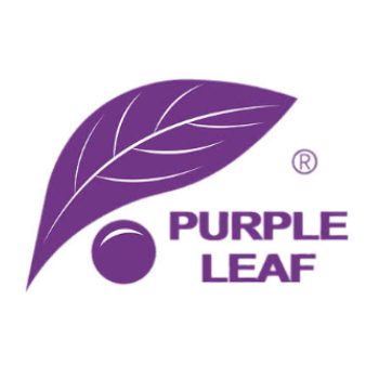 Purple Leaf logo
